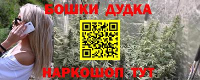 индика Апрелевка