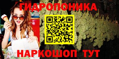 индика Апрелевка