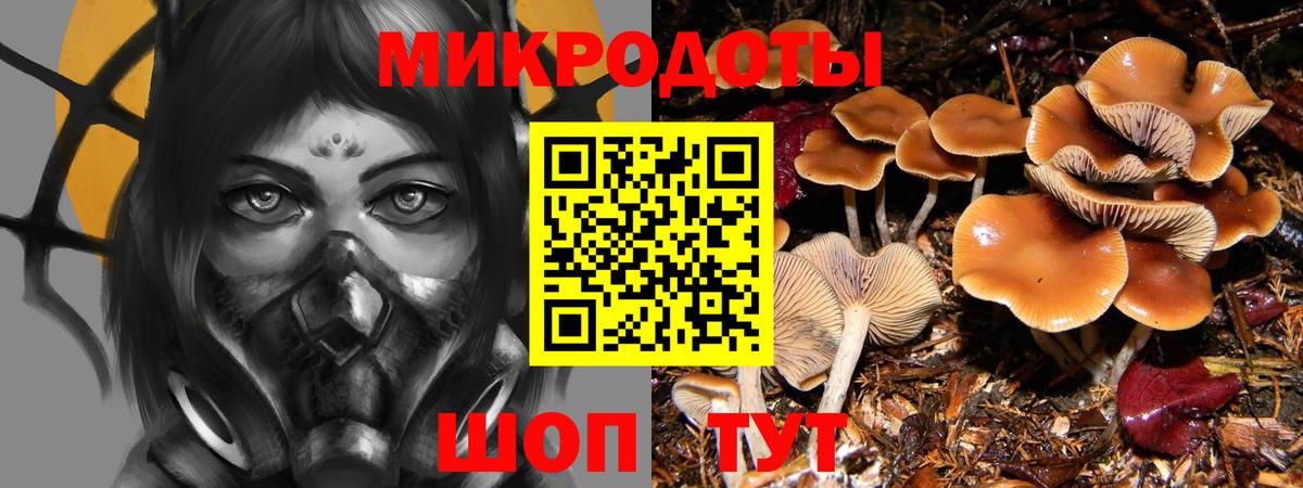 Галлюциногенные грибы Psilocybine cubensis  Вход с VPN  Псилоцибиновые грибы Magic Shrooms  Балабаново 